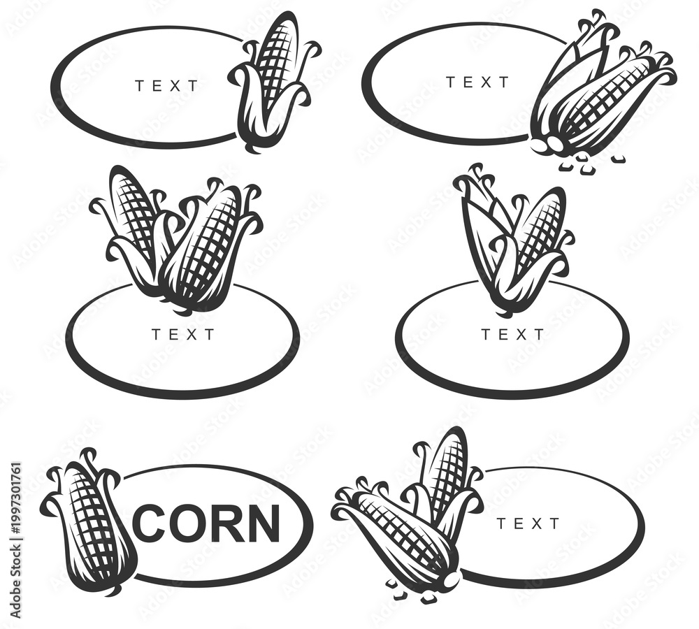 Fototapeta premium Corn label and element set. Collection icon corn. Vector