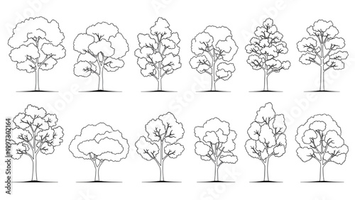 Various trees illustrated in 2D AutoCAD for landscape design