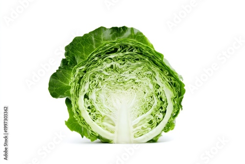Fresh Green Cabbage Cut in Half Showing Layers and Texture for Cooking or Sal...
