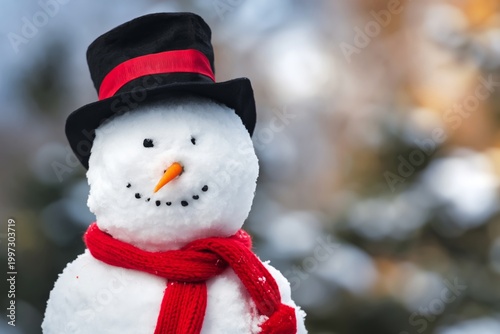 Snowman Stands in Winter Scene Wearing Hat and Scarf With Blurred Background ...