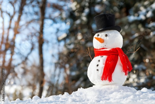 Snowman Stands in Winter Landscape With Snow-Covered Ground and Trees in Back...