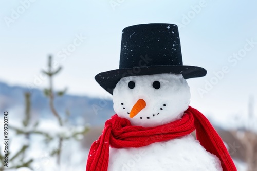 Snowman Stands in Winter Scene Wearing Hat and Scarf With Blurred Background ...