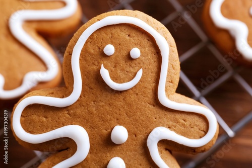 Gingerbread Cookie With Icing Decoration on a Cooling Rack in Kitchen