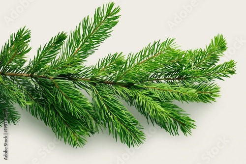 Fresh Green Pine Branch Showing Details of Needles and Twigs in Natural Layout
