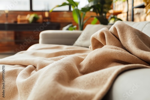 Cozy Living Room With a Warm Blanket on a Sofa During Afternoon Light