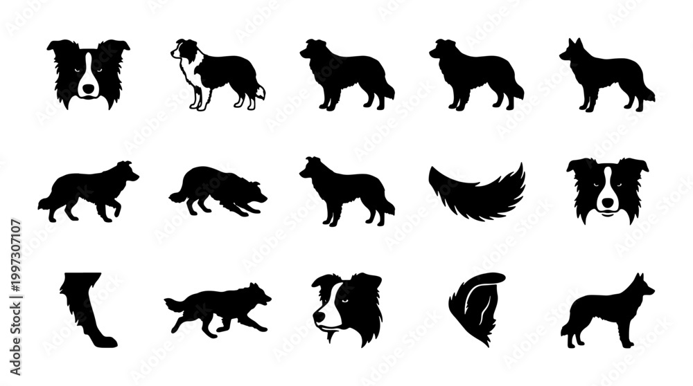 Obraz premium Border Collie Dog Icons, Silhouettes, and Head Portraits, Vector Set for Pet Lovers