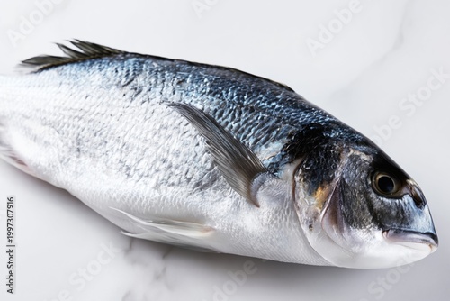 Fresh Fish Lies on a White Marble Surface Ready for Cooking or Preparation in...