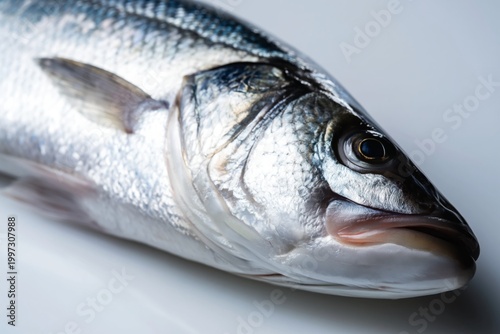 Fresh Fish Lies on a White Marble Surface Ready for Cooking or Preparation in...