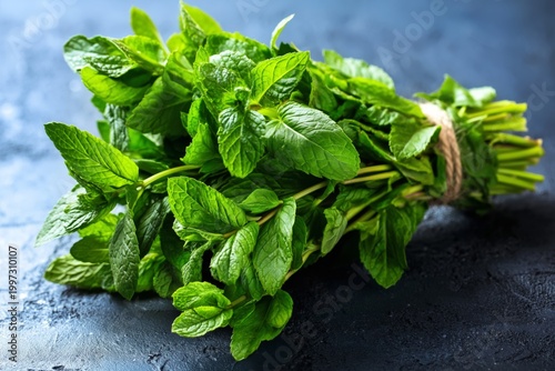Fresh Mint Leaves Gathered Together on a Dark Surface Ready for Cooking or Ga...