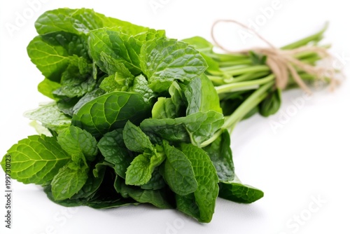 Fresh Mint Leaves Gathered Together on a Dark Surface Ready for Cooking or Ga...