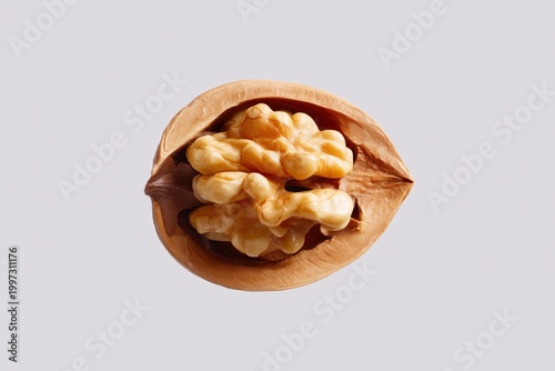 Walnuts in a Shell on a Plain Background Showing Nut Texture and Shell Shape