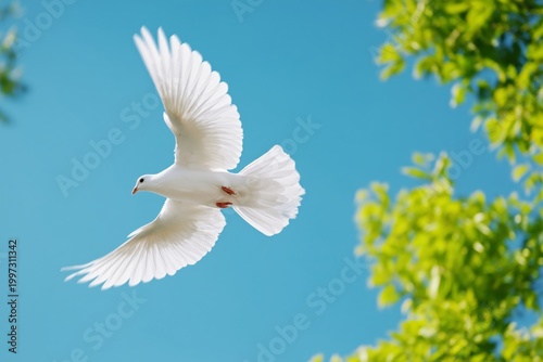 White Bird Flies Above Green Trees in Sunny Sky During Bright Day