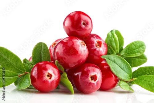 Cranberries and Leaves Arranged on a White Surface in a Simple Display