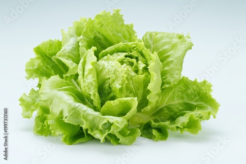 Fresh Green Lettuce Sits on a Light Surface Ready for Preparation in a Kitche...