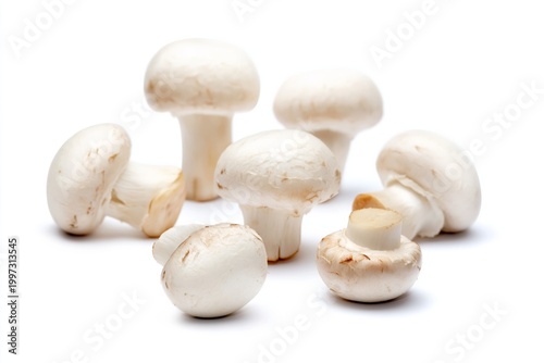 Fresh White Mushrooms Arranged on a Plain Background in a Simple Display