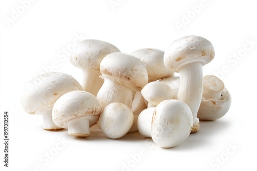 Mushrooms Gathered on a White Background Ready for Cooking or Use in Meals an...
