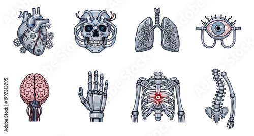 Anatomical illustrations of human body parts in vector style against black background