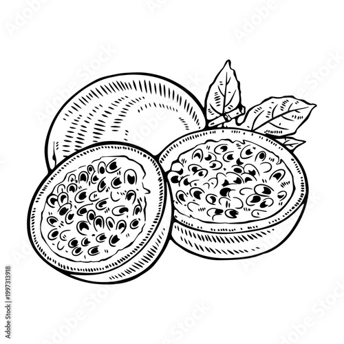 Bild auf Leinwand Passion Fruit Line Art Vector – Tropical Maracuya Outline, Minimal Exotic Fruit
