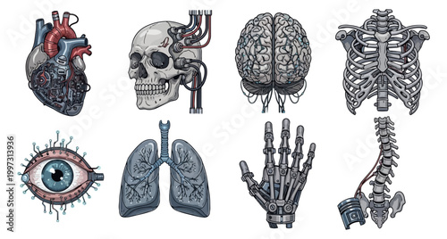 Anatomical illustrations of human body parts on dark background