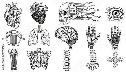 Anatomical illustrations of human organs and body parts against a black backdrop