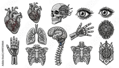 Anatomical illustrations of human organs and body parts against a dark background