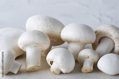 White Mushrooms Gather on a Clean Surface Ready for Cooking and Preparation