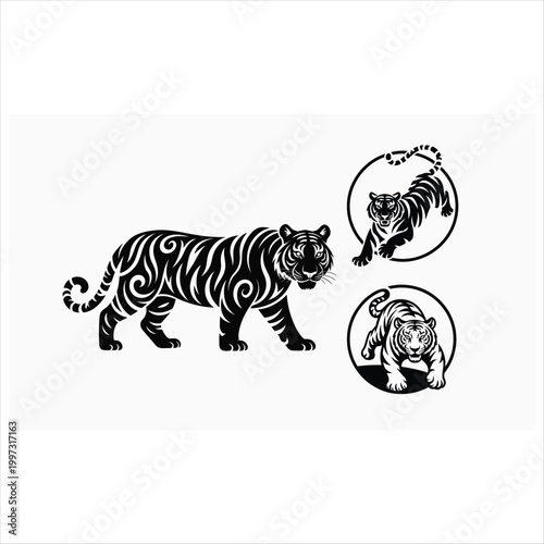 Black and white of four zebra heads facing different directions