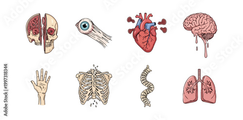 Human anatomy illustrations on black background health and biology concepts