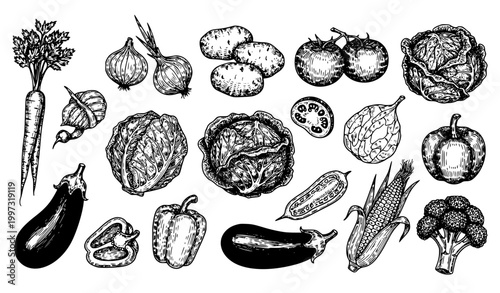 Hand drawn vegetable sketch set black and white vector vintage retro food illustration