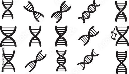 Black and white of tangled ropes and chains isolated on white background knots loops