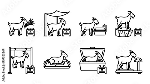 Goat illustrations depicting various activities and stages in a linear vector style