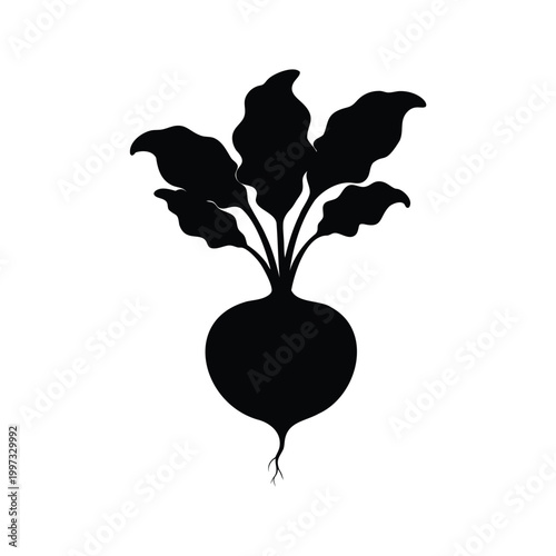 Beetroot seedling with broad leaves silhouette vector illustration design in black and white, beetroot seedling silhouette vector illustration