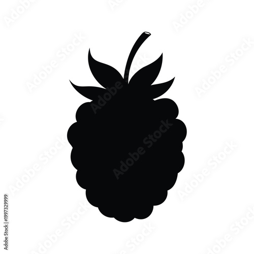 Black and white blackberry seed cluster detailed silhouette vector illustration design, blackberry seed silhouette vector illustration