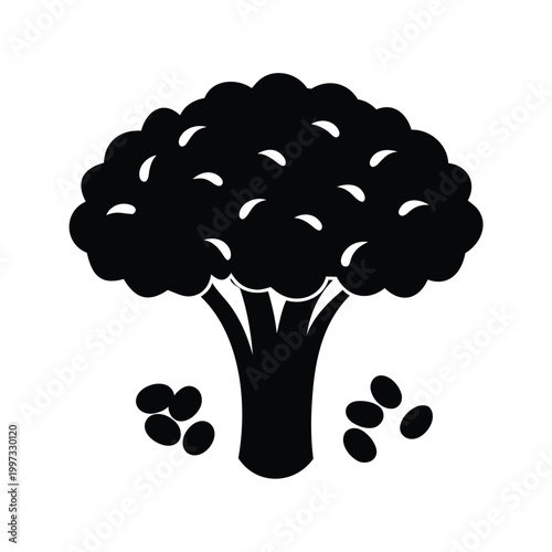 Broccoli plant with scattered seeds minimalist black and white silhouette vector illustration, broccoli seeds silhouette vector illustration