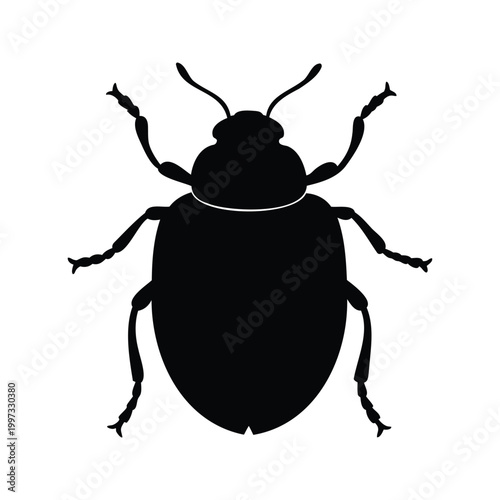 Black and white carpet beetle detailed legs antennae silhouette vector illustration, carpet beetle silhouette vector illustration