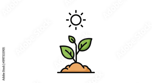 Young plant growing in soil under the sun.