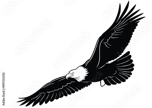Majestic flying bald eagle illustration with spread wings, minimalist bird of prey silhouette, powerful raptor in flight, creative wildlife logo design.