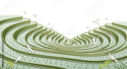 Green leaf spiral pattern closeup.