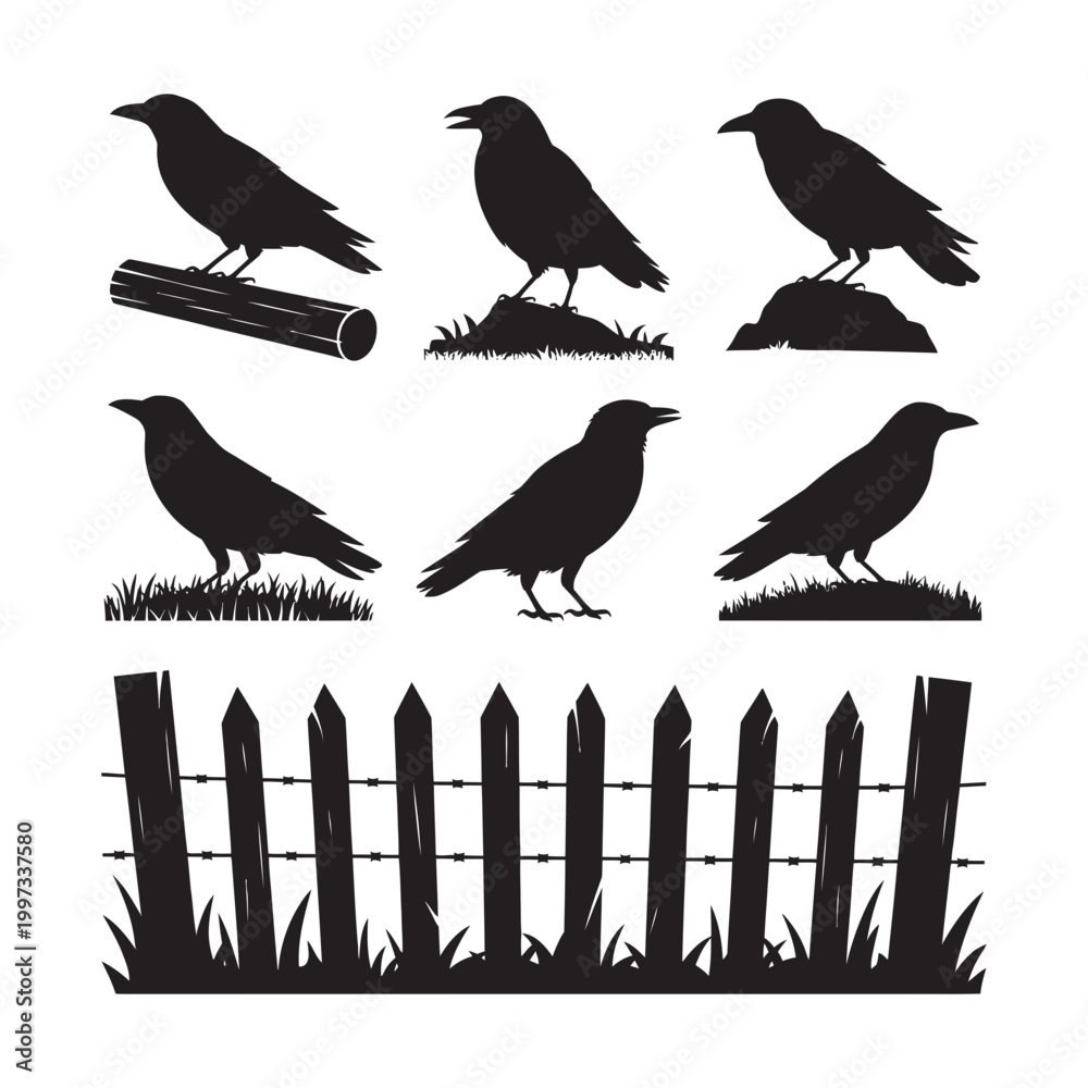 Fototapeta premium Set of six black silhouette crows perched on grass logs rocks a rustic wooden fence below with silhouette