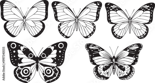 Detailed Butterfly Wing Pattern Illustration Set featuring Symmetric Insect Silhouettes, Nature Conservation Graphics, Spring Meadow Biology Elements, and Decorative Lepidoptera Vector Designs