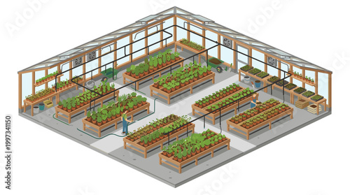 vector An elaborate isometric illustration of a modern greenhouse with automatic irrigation system and various plants.