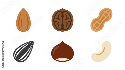 vector A healthy variety of nuts and seeds is presented as nutritious snacks and cooking ingredients.