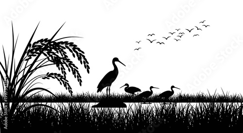 Silhouette of birds standing together outdoors.
