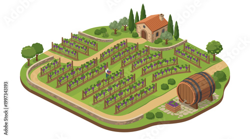vector A beautiful isometric illustration depicting a sprawling vineyard landscape with rows of grapevines, a house, and a wine barrel.
