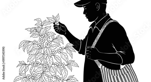 Man inspecting plant leaves closely.