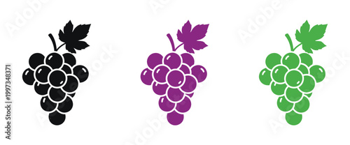 Colorful illustration of grape clusters in black purple and green shades with leaves