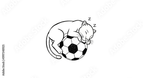 Sleeping White Cat Resting Comfortably on Top of Soccer Ball.