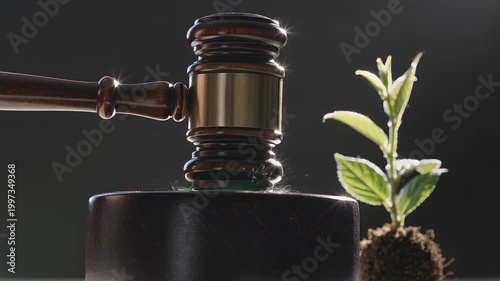 Young Plant Growing Under Warm Light Source
