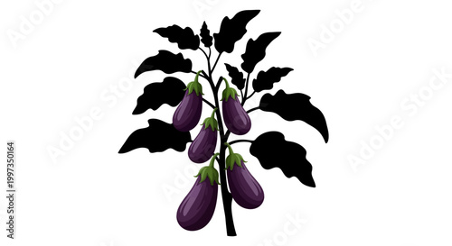 Purple Eggplant on a Stem.