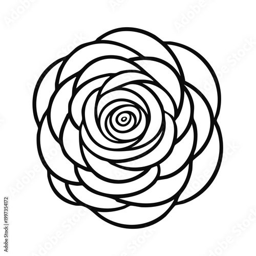 Rose Outline Vector Graphics Isolated on White Backdrop
